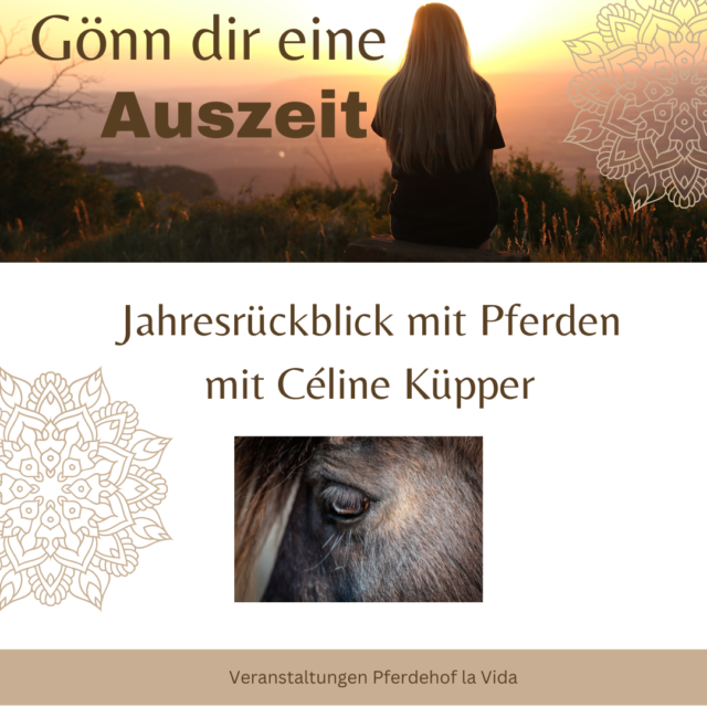 https://pferdehof-lavida.be/wp-content/uploads/2022/11/Cover-Jahresrueckblick-640x640.png