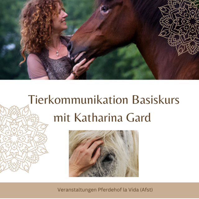 https://pferdehof-lavida.be/wp-content/uploads/2022/11/Cover-Tierkommunikation-640x640.png